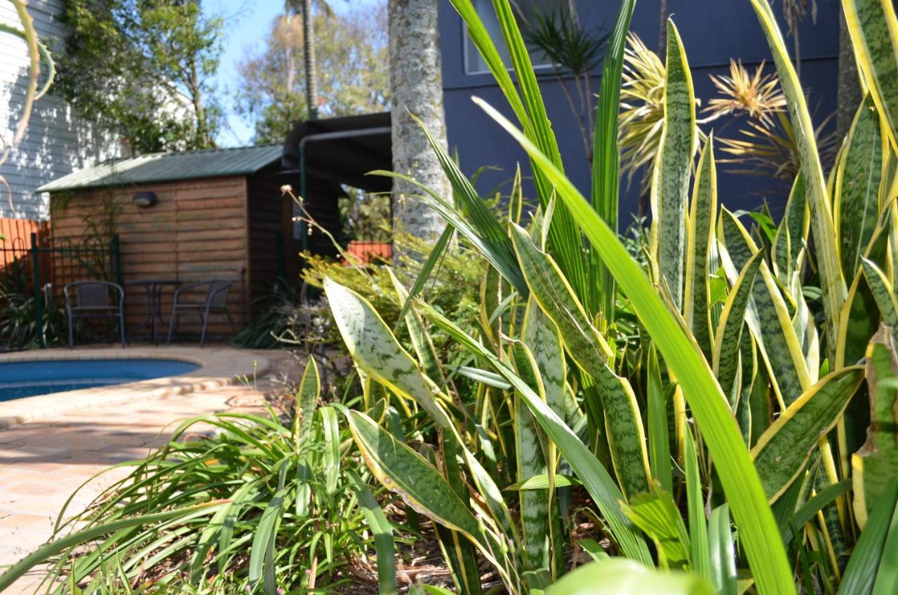 Airport Motel Brisbane Exterior foto